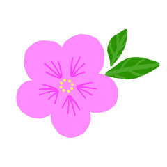 イラスト素材  梅の花ピンク