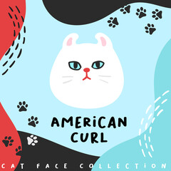 Cat face collection : Vector Illustration