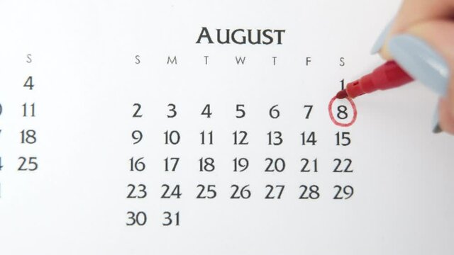 Female hand circle day in calendar date with a red marker. Business Basics Wall Calendar Planner and Organizer. August 8th