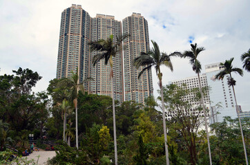 Fototapeta na wymiar Hong Kong - Apartment Building looming above Kowloon Park