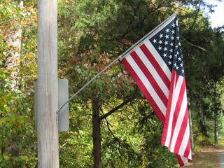 An American flag on a pole with trees in the background
