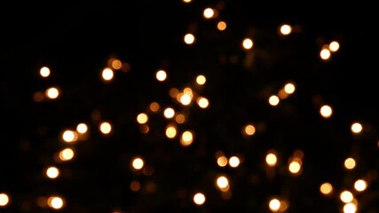 holiday lights