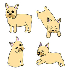 ４つのポーズのフレンチブルドッグ
