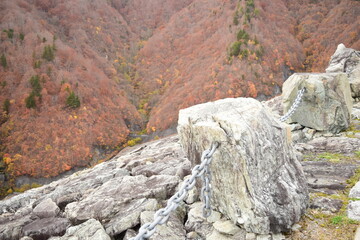 紅葉