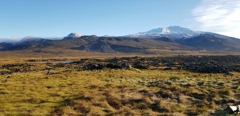 Lava field in Iceland