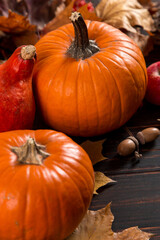 Orange pumpkins, fallen leaves, apples, nuts, berries on wooden background. Concept autumn template, blank halloween or Thanksgiving day. Copy space.