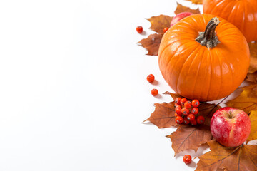 Orange pumpkins, fallen leaves, apples and berries on a white background. The concept of autumn template, Thanksgiving day. Copy space.
