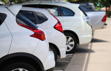 Closeup of rear side of white car and other cars parking in parking area in sunny day. 