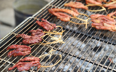 Closeup of grilled  meat on gridiron, Asian street food.