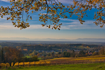 Vogesenblick bei Schmieheim in der Ortenau