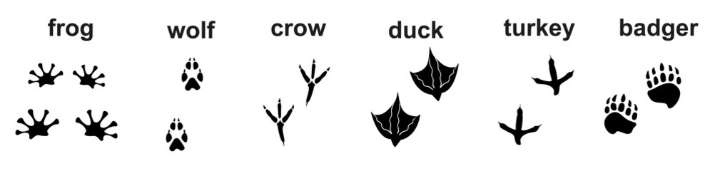 Animal footprints, set vector printable feet, flat, vector illustrator