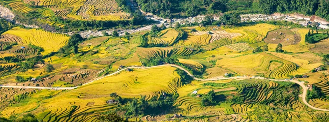Fotobehang Terraced rice fields in Y ty, Sapa, Laocai, Vietnam prepare the harvest © VietDung