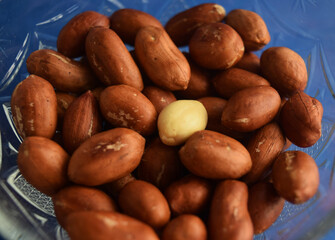 Obraz premium roasted peanuts in a bowl