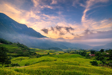Terraced rice fields in Y ty, Sapa, Laocai, Vietnam prepare the harvest