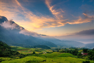 Terraced rice fields in Y ty, Sapa, Laocai, Vietnam prepare the harvest