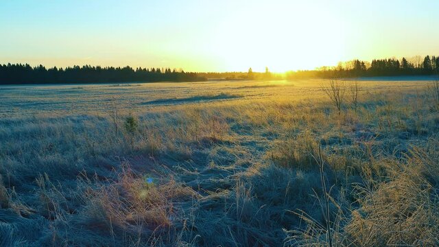 The golden sun rises over the snow-covered field, painting the cold winter landscape.