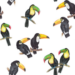 Watercolor painting seamless pattern with toucan birds on white background