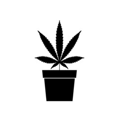 Medical marijuana or cannabis plant in pot icon isolated on white background