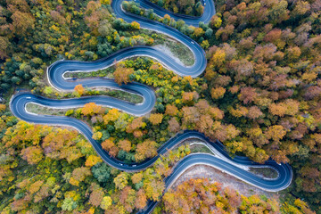 Aerial view of road in beautiful autumn forest at sunset.