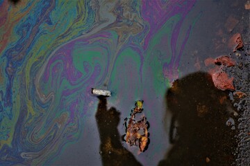 iridescent oil spots on the water cigarette .ecology.pollution of the planet. petrol