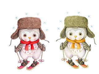 Cute cartoon owls in winter caps. Watercolor hand drawn art, illustration, isolated on white background.