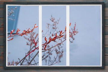 Red twigs of dry grass with snow outside the window on the wooden wall against the blue sky. Beautiful winter background