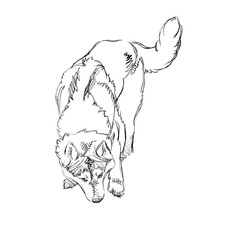 The Portrait of a Cute Shaggy Dog on White Background. Vector Illustration of a Beautiful Sketched Siberian Husky,. Freehand Monochrome Drawing. Linear Sketch. Realistic Style. Animal Art for Kids