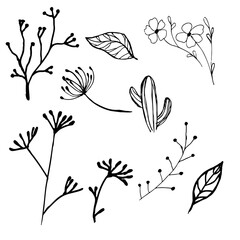 A close up Set of contour cute flowers and twigs in doodle style without shading and black strokes. Coloring book antistress. Isolated on white background. Stock illustration.