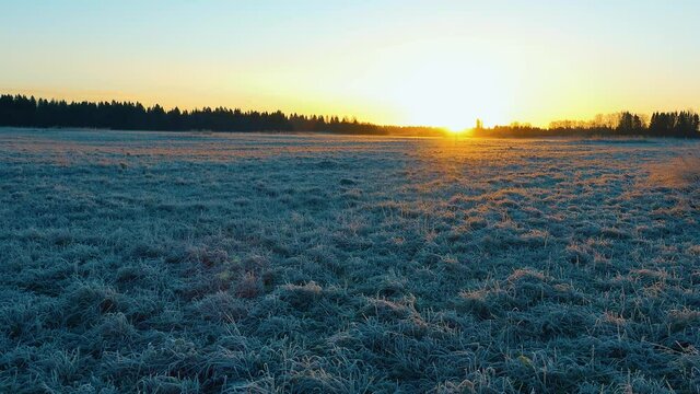 The golden sun rises over the snow-covered field, painting the cold winter landscape.