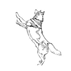 The Portrait of a Cute Shaggy Dog on White Background. Vector Illustration of a Beautiful Sketched Siberian Husky,. Freehand Monochrome Drawing. Linear Sketch. Realistic Style. Animal Art for Kids