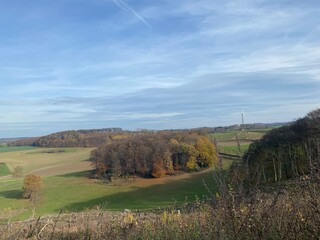 landscape in autumn