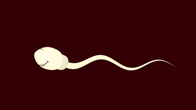 Sperm. Sperm character animation, alpha channel enabled. Cartoon