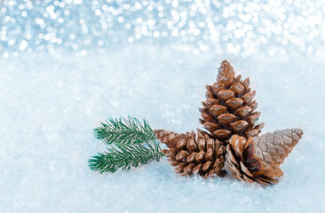 Christmas decoration on the snow fir cones on a snowy background