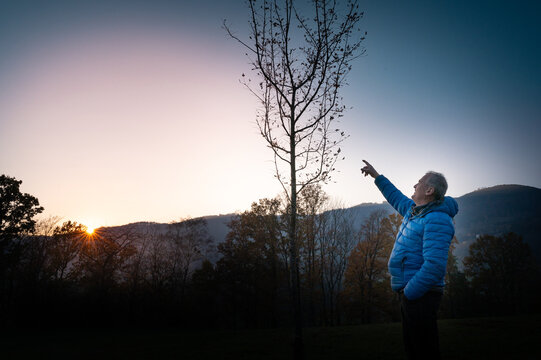 Elsbeerenbaum in der Abendsonne