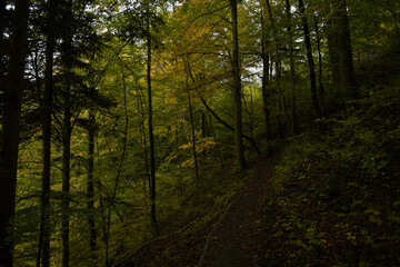 Obraz premium Les gorges de l'Areuse 25