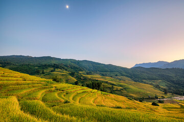 Fototapeta na wymiar Terraced rice fields in Y ty, Sapa, Laocai, Vietnam prepare the harvest