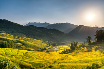 Obraz premium Terraced rice fields in Y ty, Sapa, Laocai, Vietnam prepare the harvest