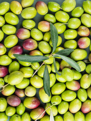 Freshly picked raw green olives. Food texture flat background.