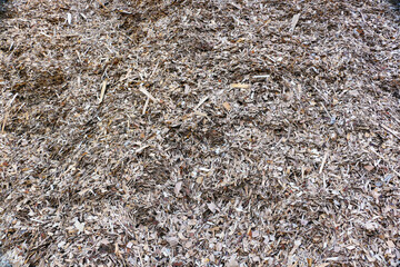 Texture background made of sawdust. Sawdust.