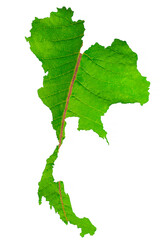 Map of Thailand in green leaf texture on a white isolated background. Ecology, climate concept, 3d illustration