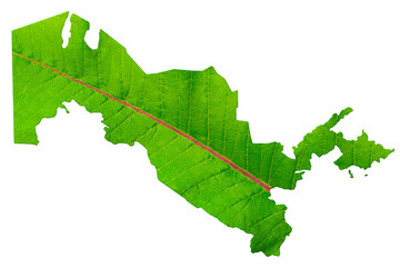Map of Uzbekistan in green leaf texture on a white isolated background. Ecology, climate concept, 3d illustration