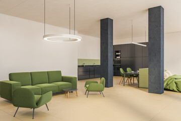 Modern living hall room studio with green sofa and new furniture, kitchen zone