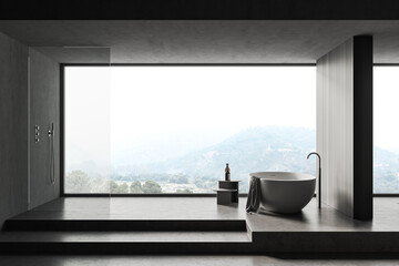 Gray bathroom interior with tub and shower, side view