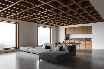 White and wooden living room corner with sofa