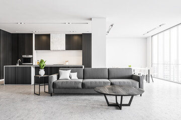 Fototapeta na wymiar Grey kitchen with grey sofa in living room, new furniture in studio apartment