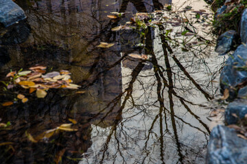 shallow water 4