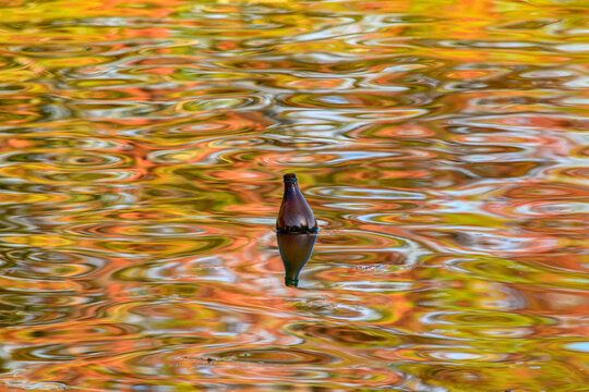 Botella flotando en el lago oto&ntilde;al