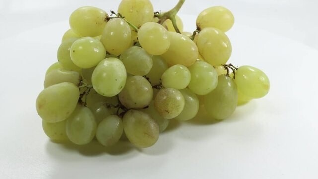 cluster of white grapes quality Italy Muscat