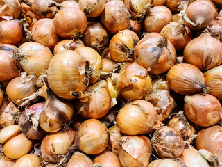 onions at market