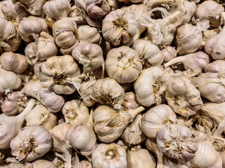 close up of garlic